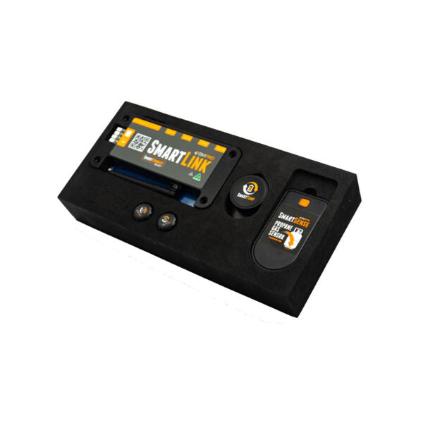 ProSmart BMPRO Battery & Vehicle Monitor