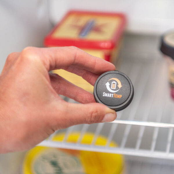 ProSmart BMPRO Battery & Vehicle Monitor