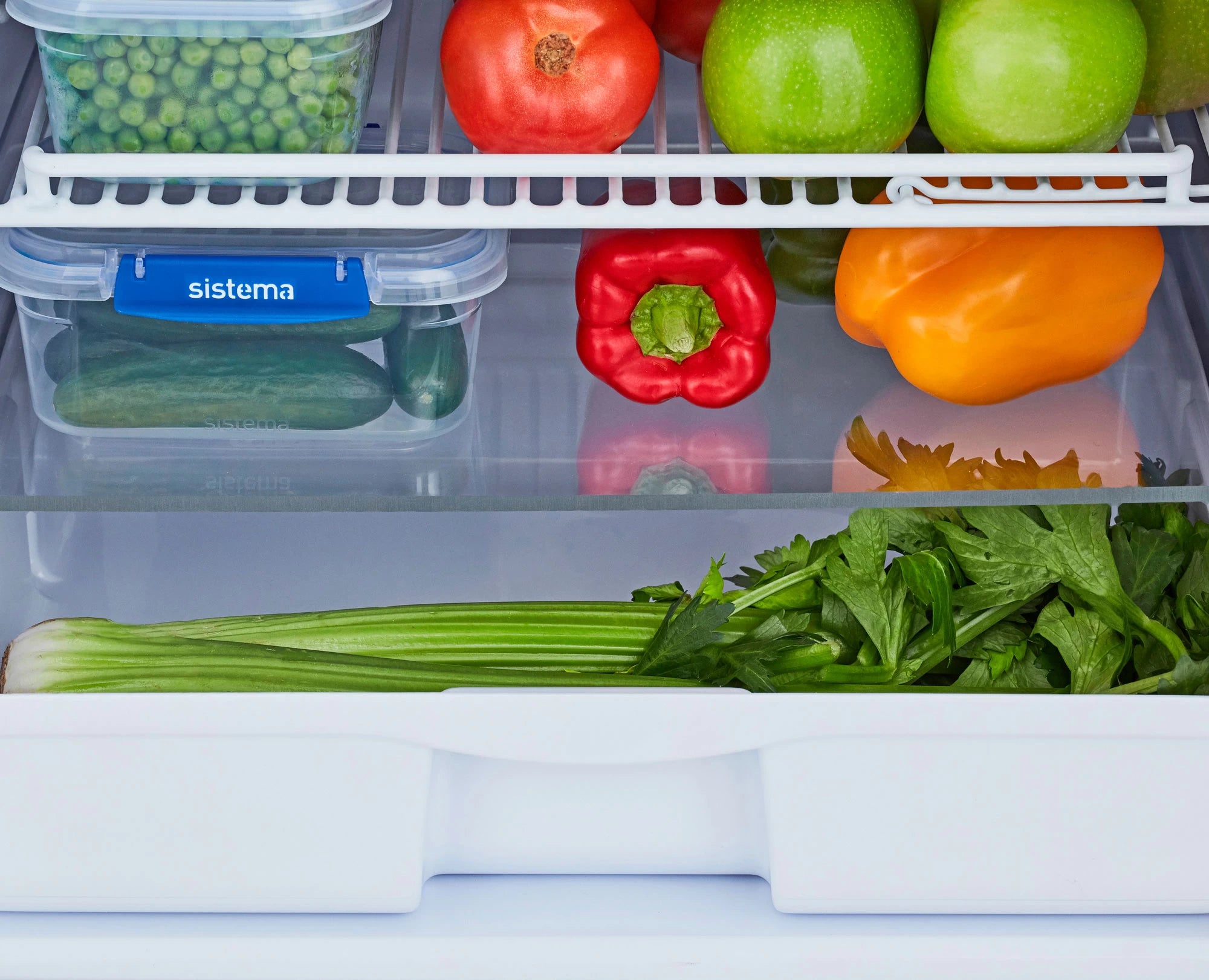 Bushman DC130-X Heavy Duty 12/24V Upright Fridge/Freezer 130L